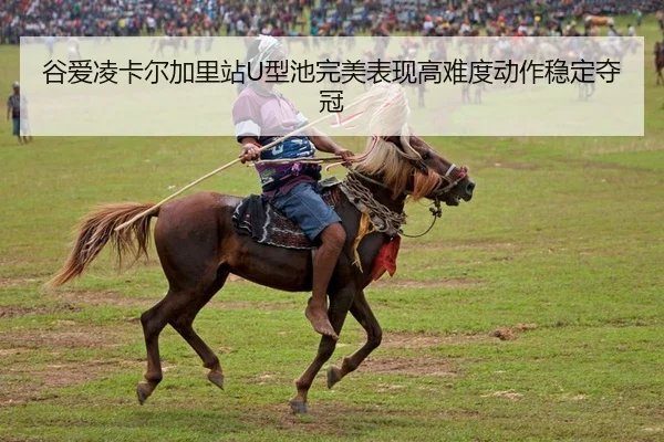 gu-ai-ling-ka-er-jia-li-zhan-xing-chi-wan-mei-biao-xian-gao-nan-du-dong-zuo-wen-ding-duo-guan-2-728.jpg