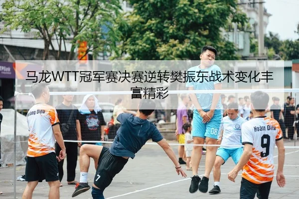 马龙WTT冠军赛决赛逆转樊振东战术变化丰富精彩